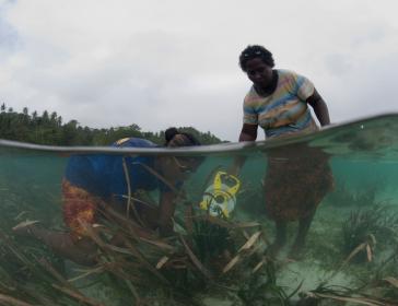 Tetepare women count seagrass