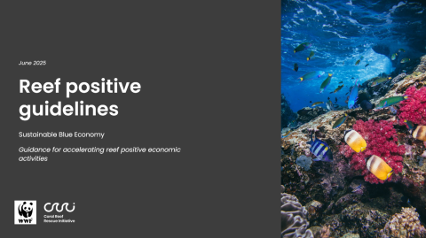 Reef Positive Guidelines