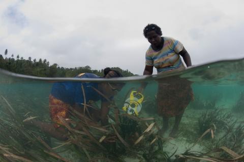 Tetepare women count seagrass